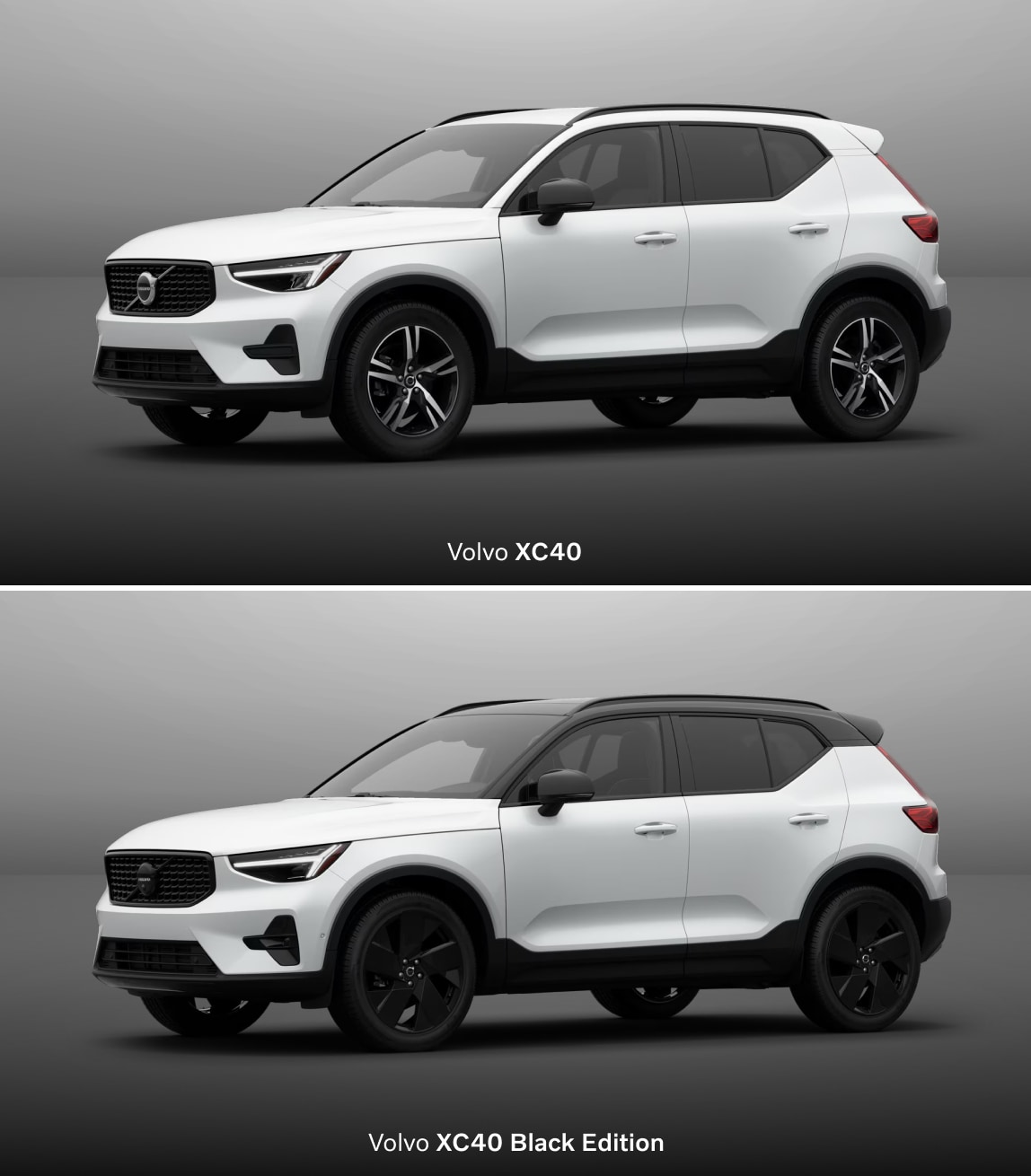 Bright Theme vs. Dark Theme: What Are The Differences?