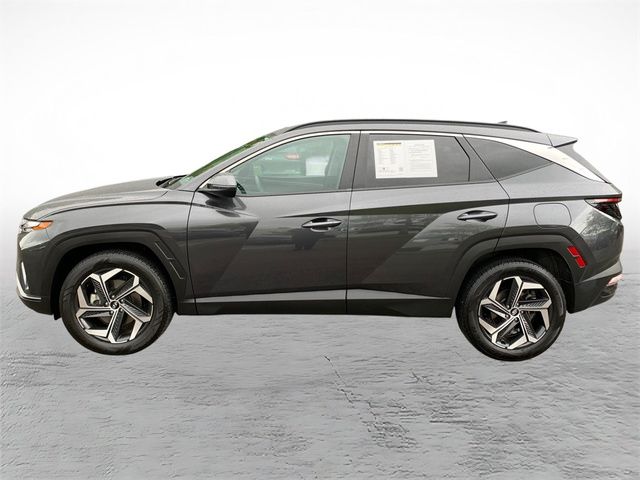 2023 Hyundai Tucson SEL - Photo 6