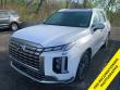 Used 2025 Hyundai Palisade Calligraphy SUV