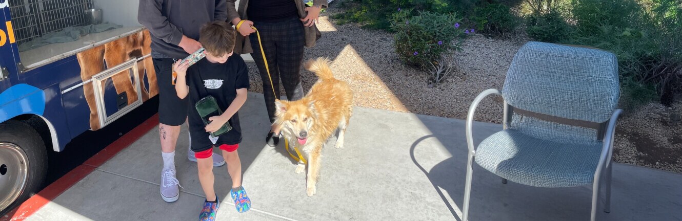 MCACC And Subaru Loves Pets Event