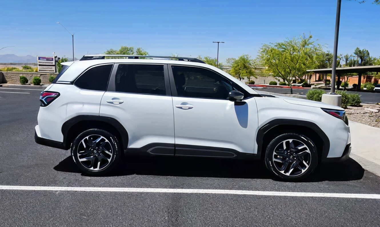 A Friendly Face - Michele H