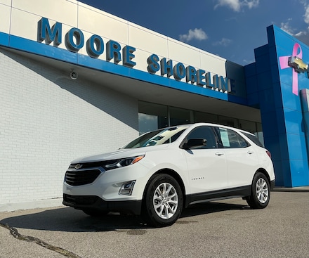 2019 Chevrolet Equinox LS SUV