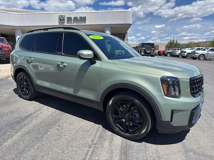2025 Kia Telluride SX Prestige X-Line SUV