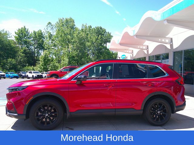 2024 Honda CR-V Sport - Photo 5