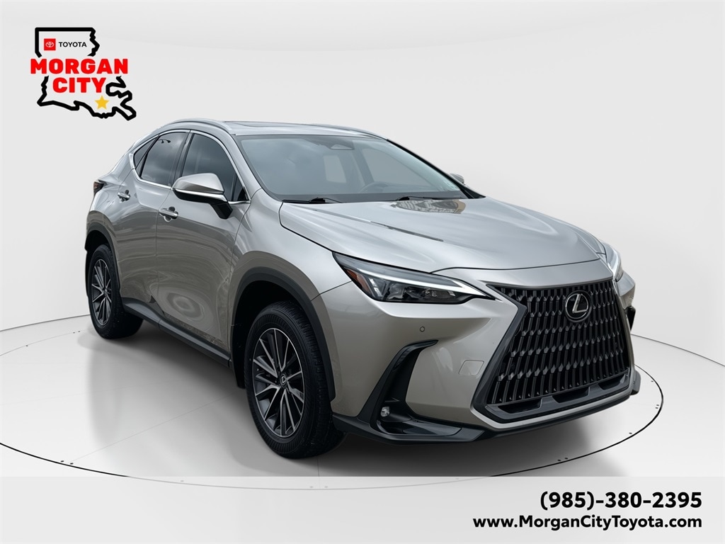 2025 Lexus NX 250's photo