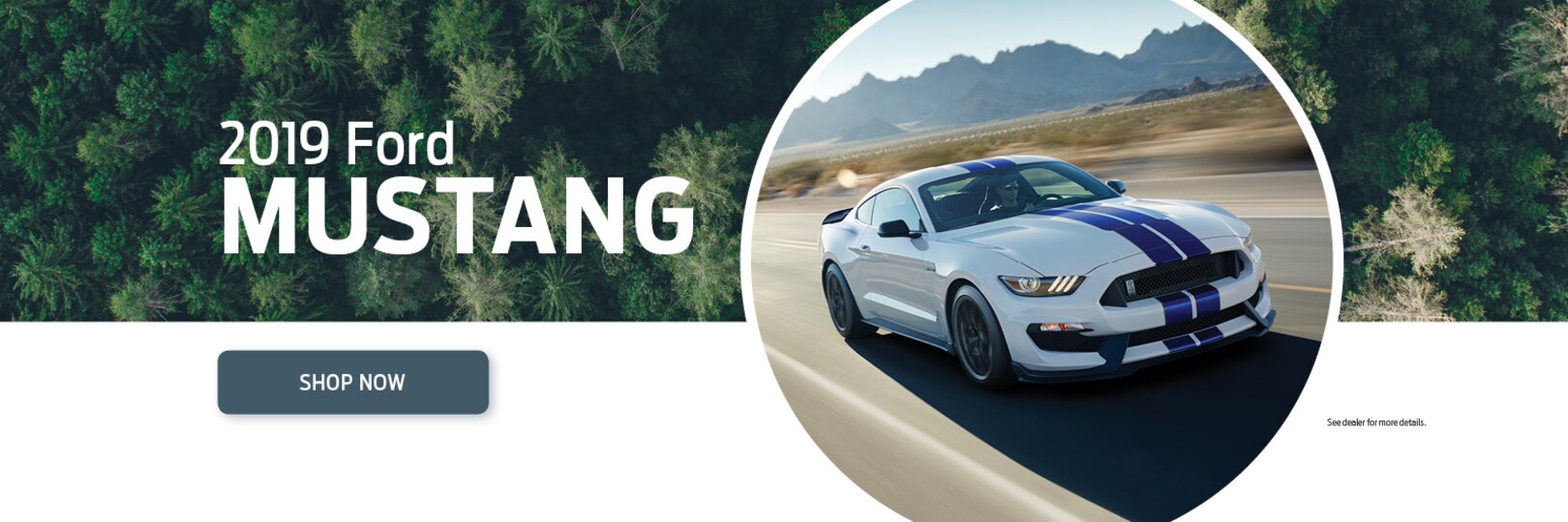 Ford Inc. Ford Dealership in Saint Paul VA