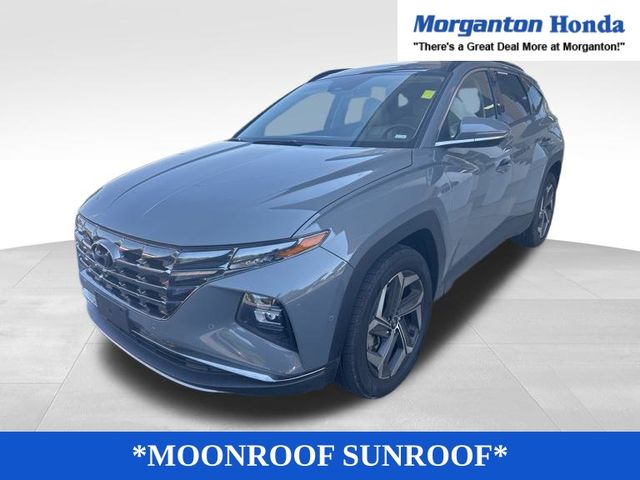 2024 Hyundai Tucson Limited photo 3