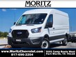 Ford Transit Cargo Van