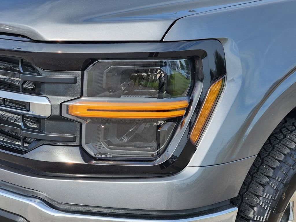 2025 Ford F-150 XLT - Photo 8