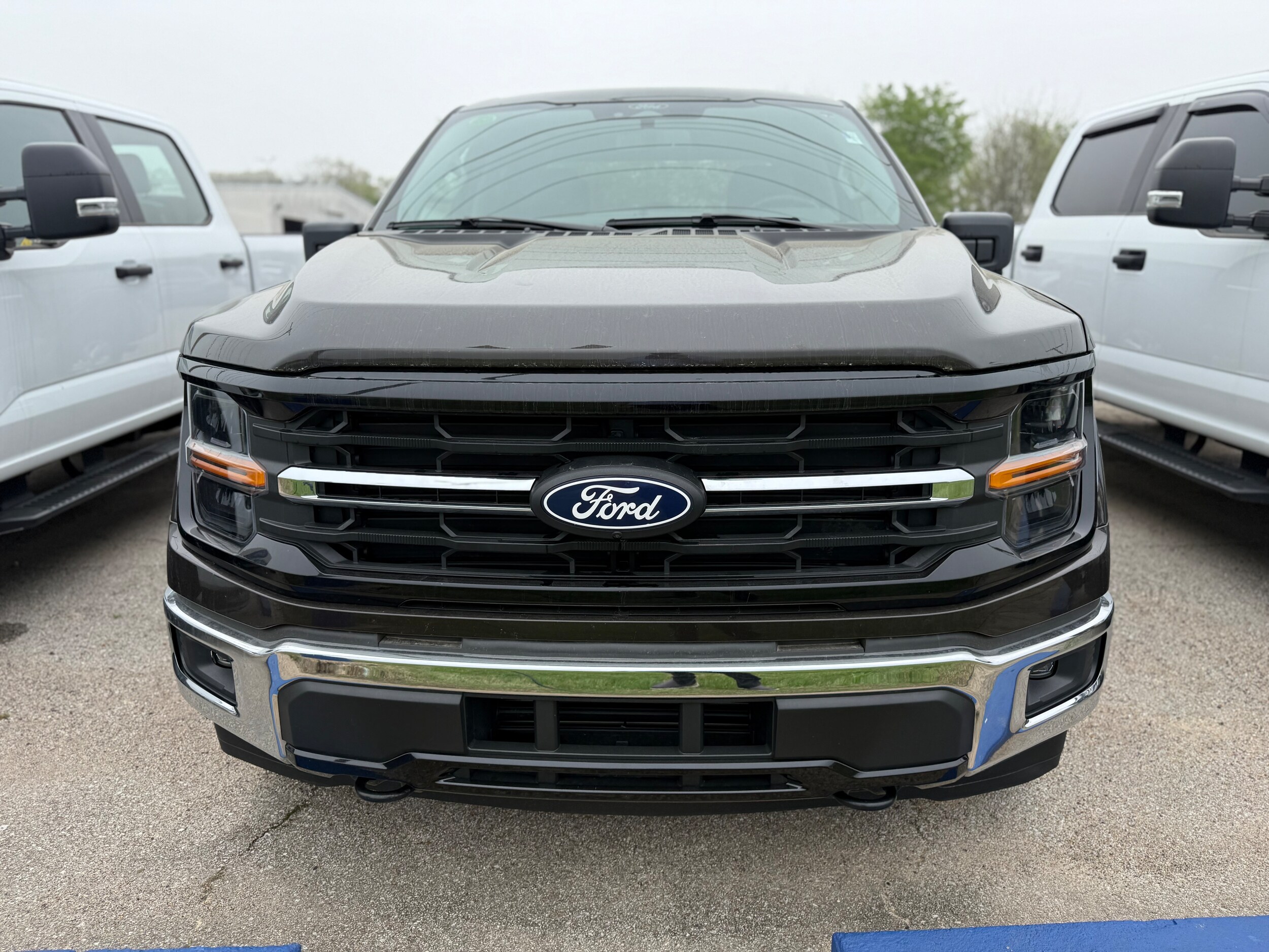 2024 Ford F-150 XLT photo 3