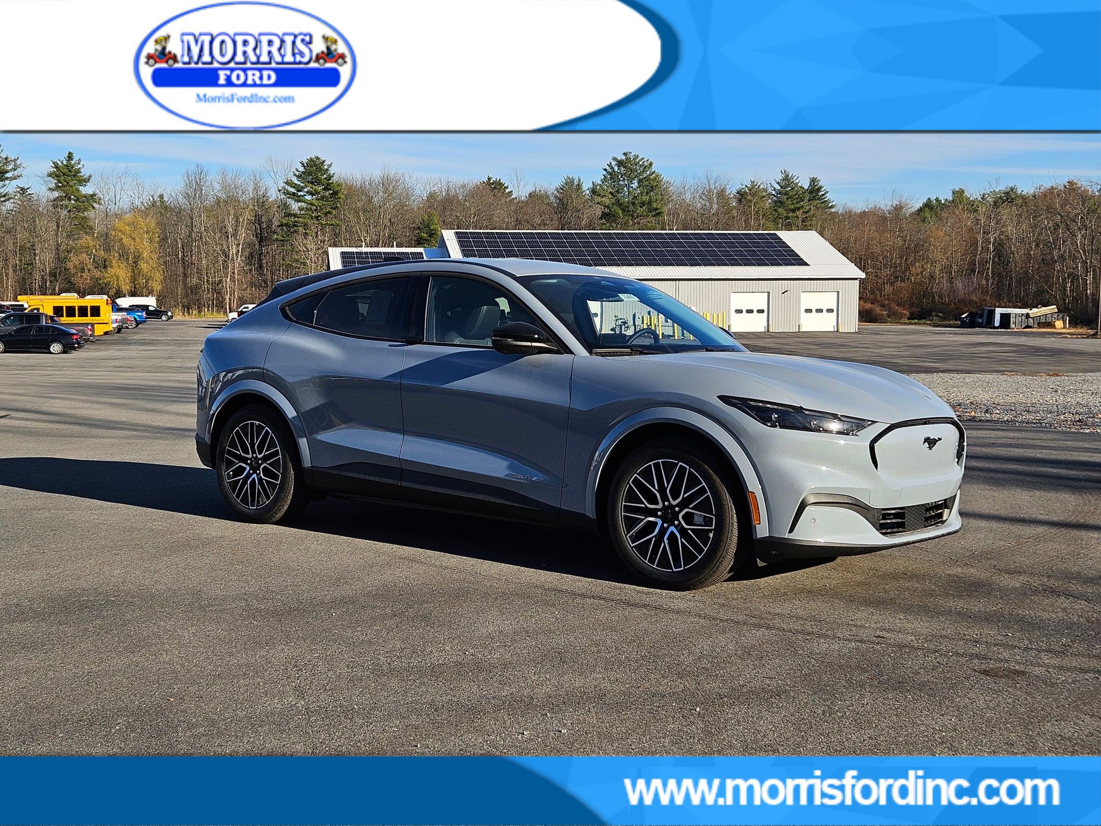 2025 Ford Mustang Mach-E Premium AWD's photo