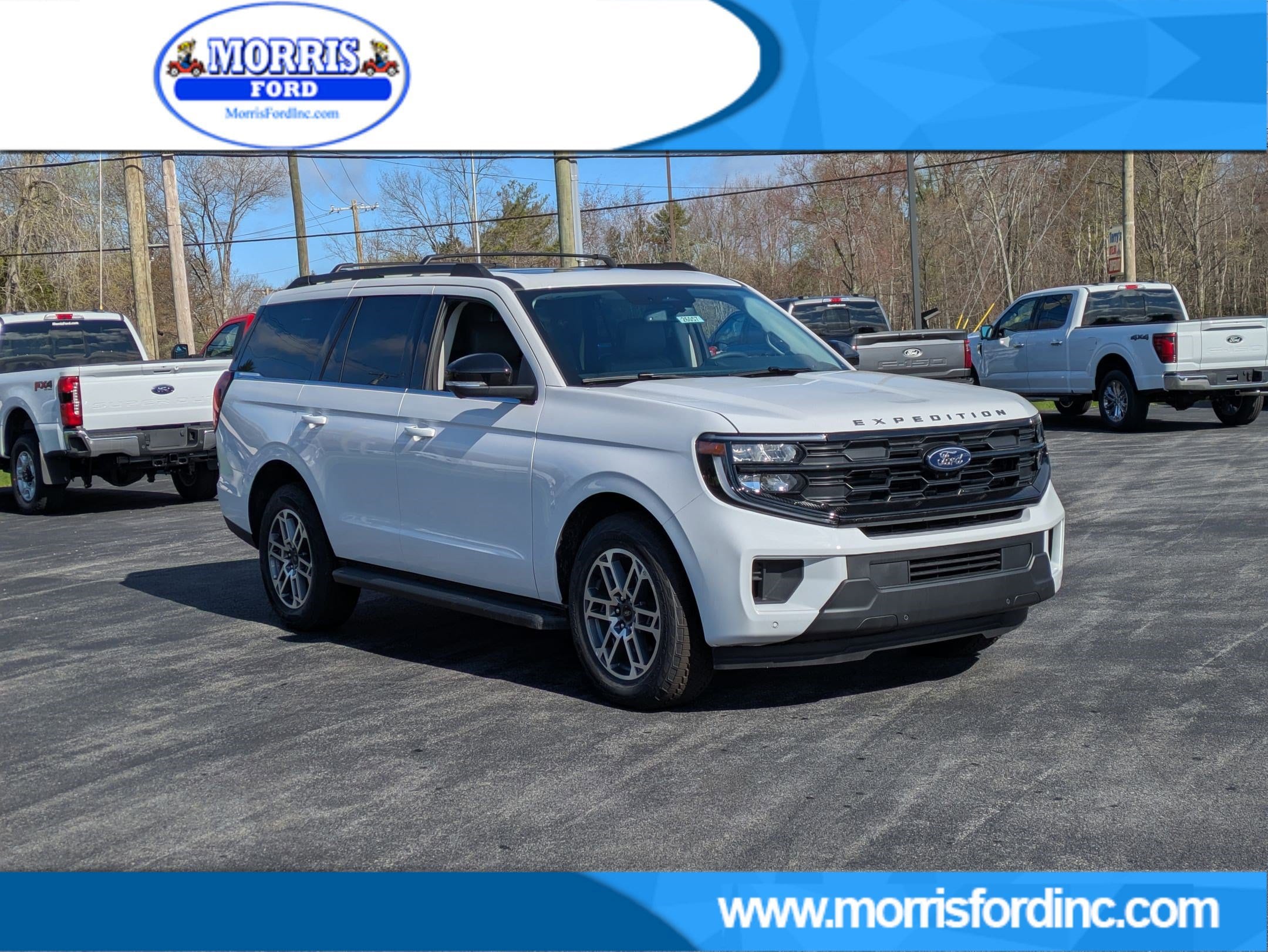 2026 Ford Expedition Active 4x4's photo