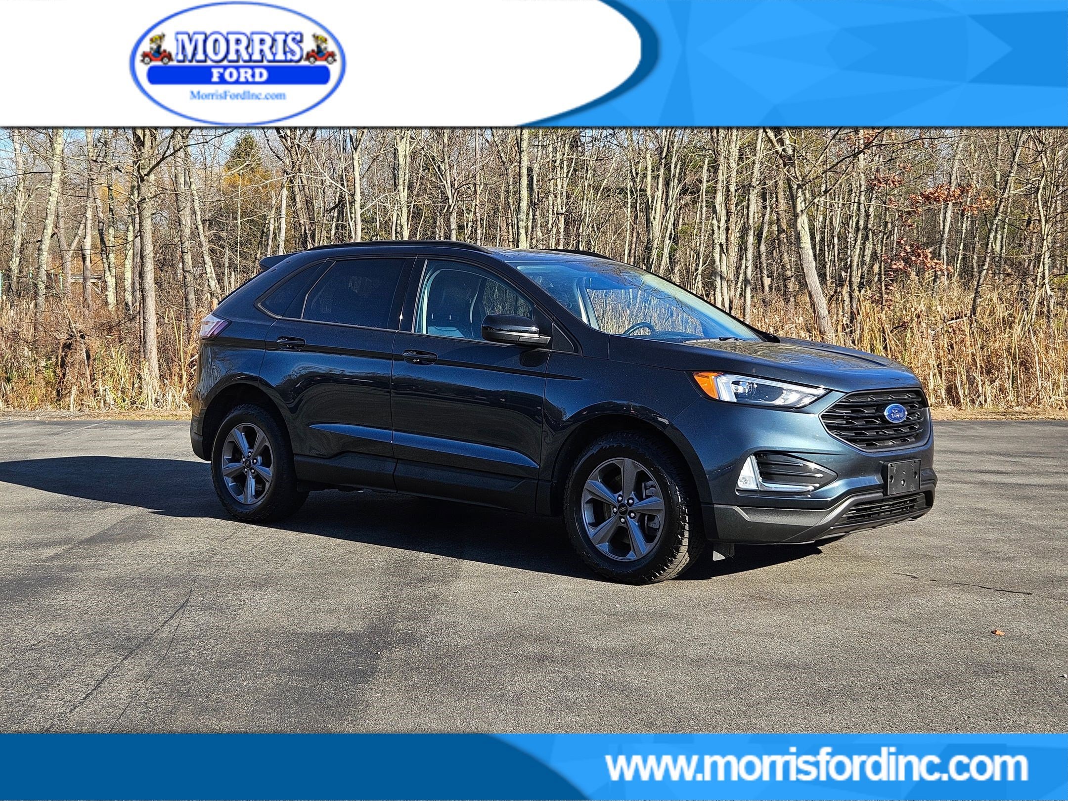 2023 Ford Edge SEL's photo
