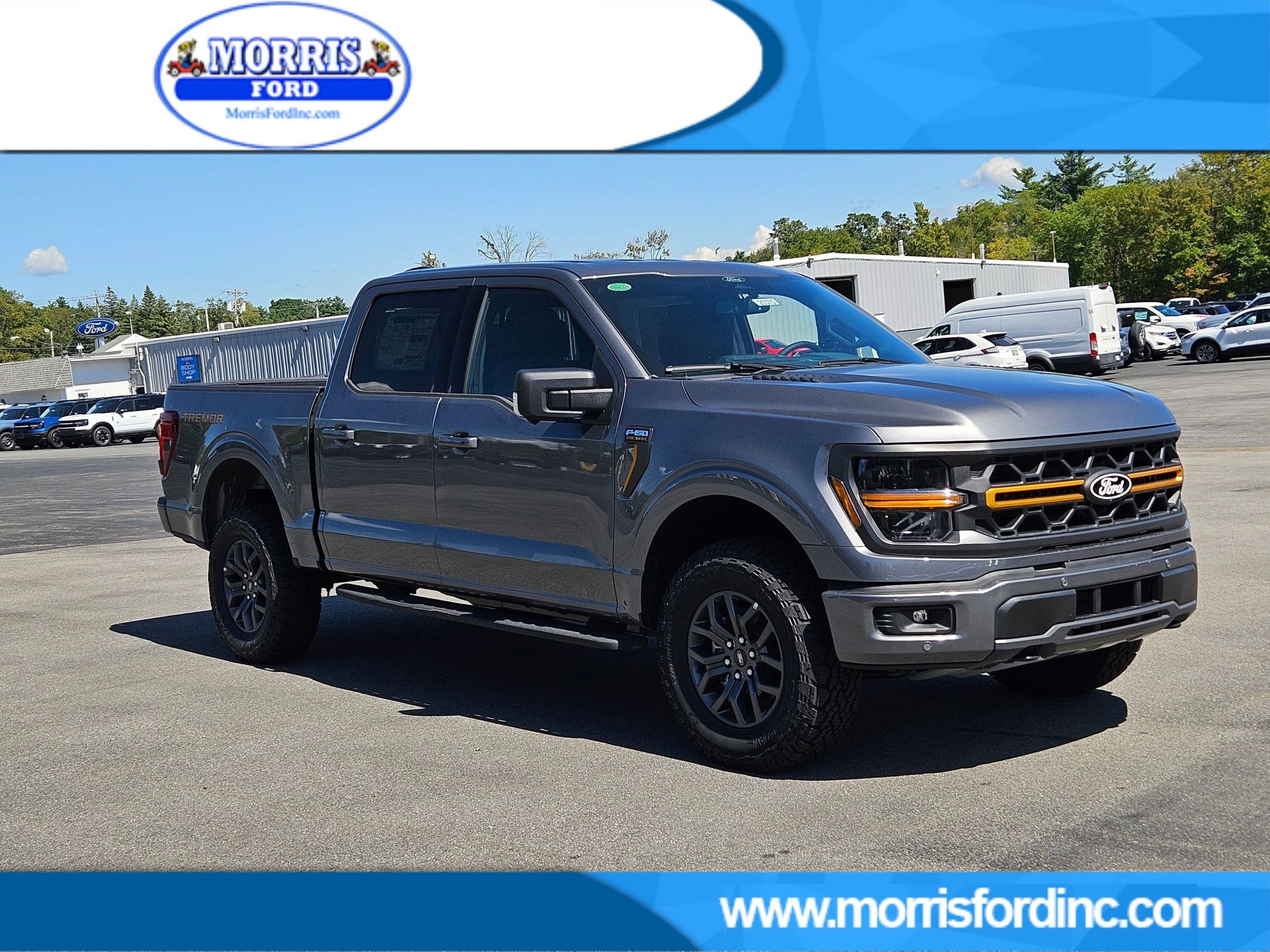 2025 Ford F-150 Tremor's photo