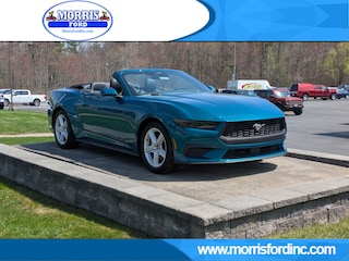 2026 Ford Mustang CAR