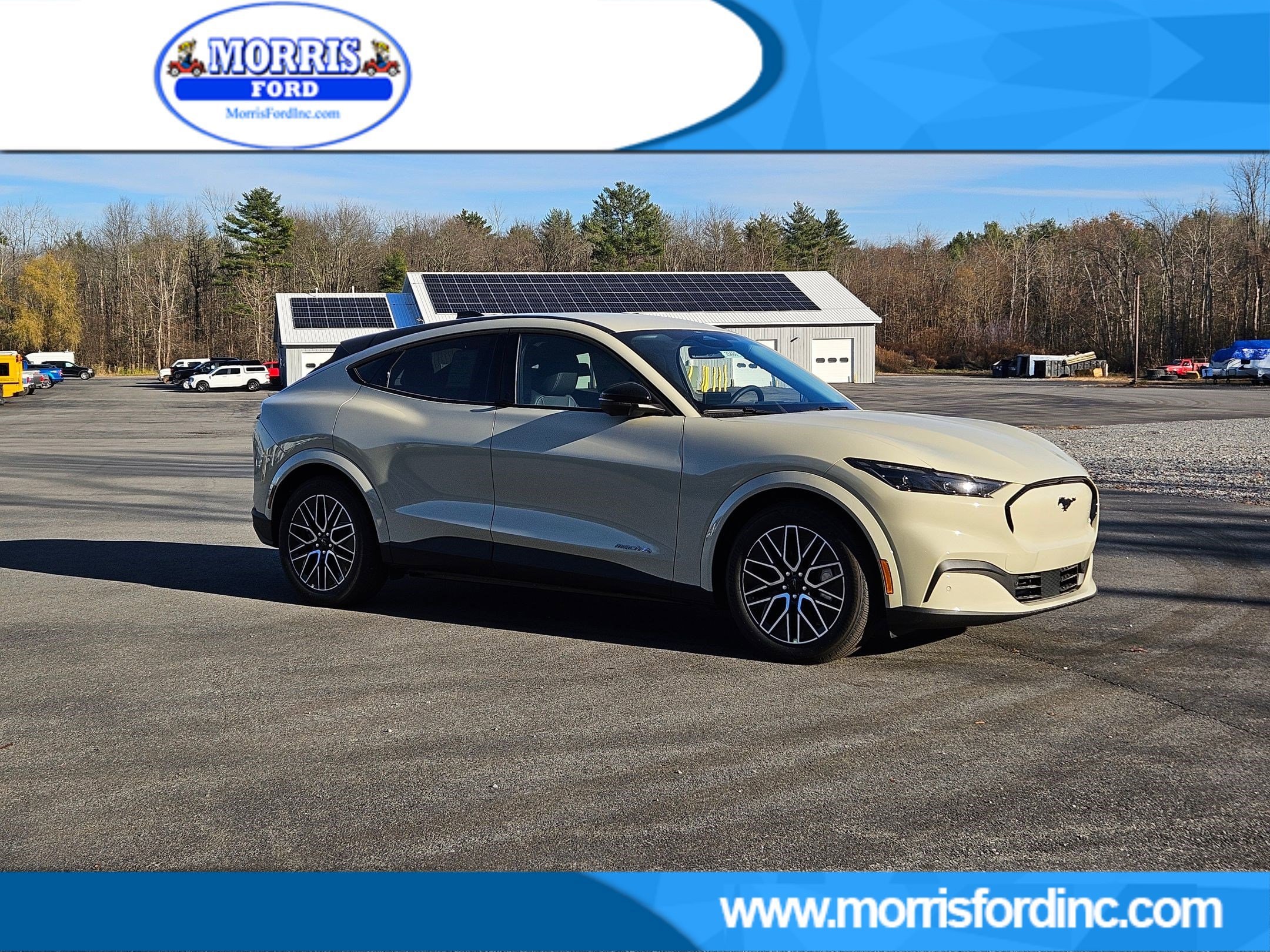 2025 Ford Mustang Mach-E Premium AWD's photo