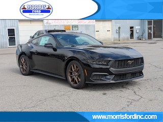 2026 Ford Mustang CAR