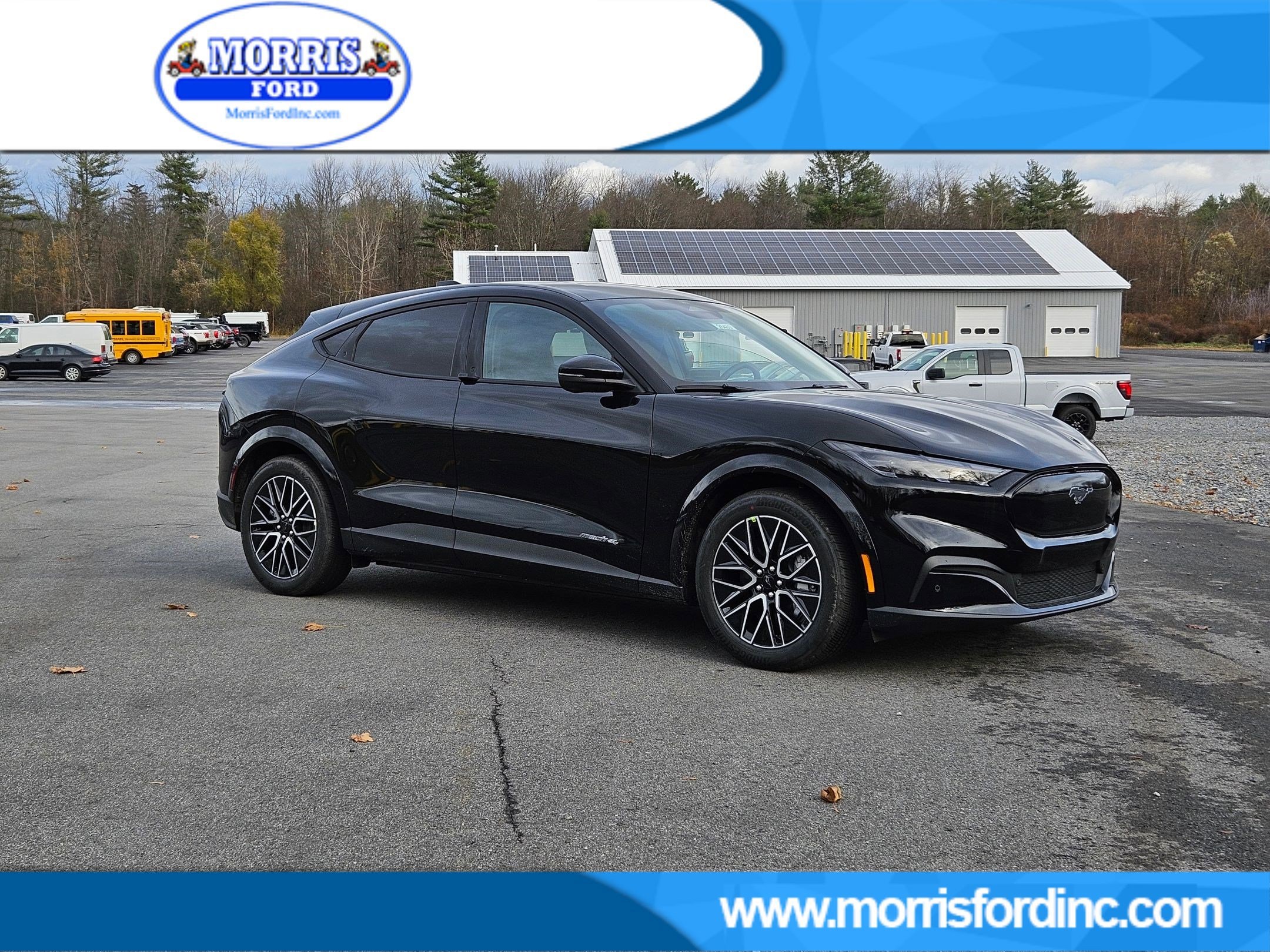 2025 Ford Mustang Mach-E Premium AWD's photo