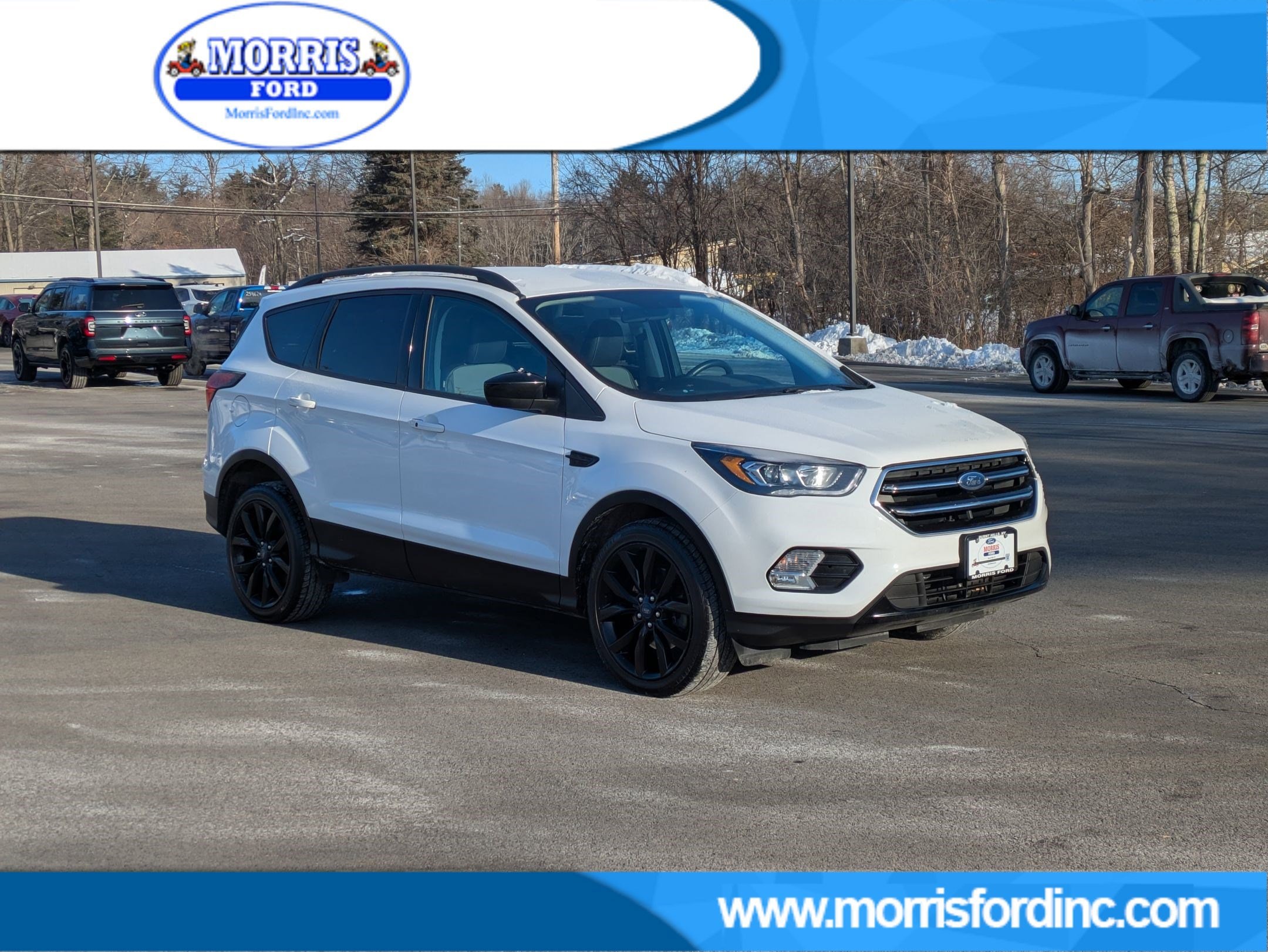 2019 Ford Escape SE