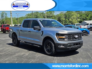 2025 Ford F-150 STX TRUCK