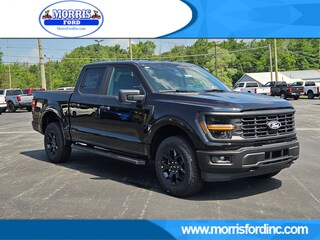 2025 Ford F-150 STX TRUCK