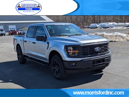 2025 Ford F-150 STX TRUCK