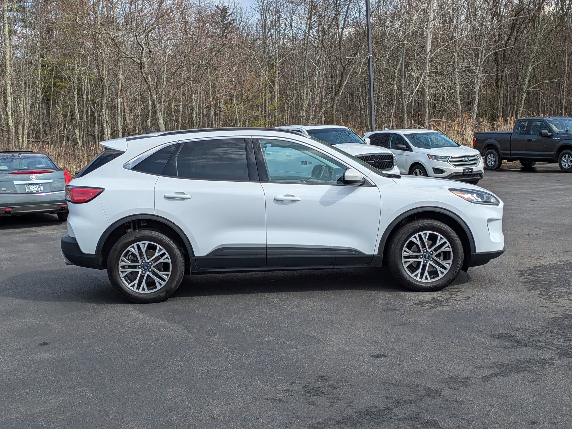 Certified 2021 Ford Escape SEL with VIN 1FMCU9H67MUA15667 for sale in Ballston Lake, NY