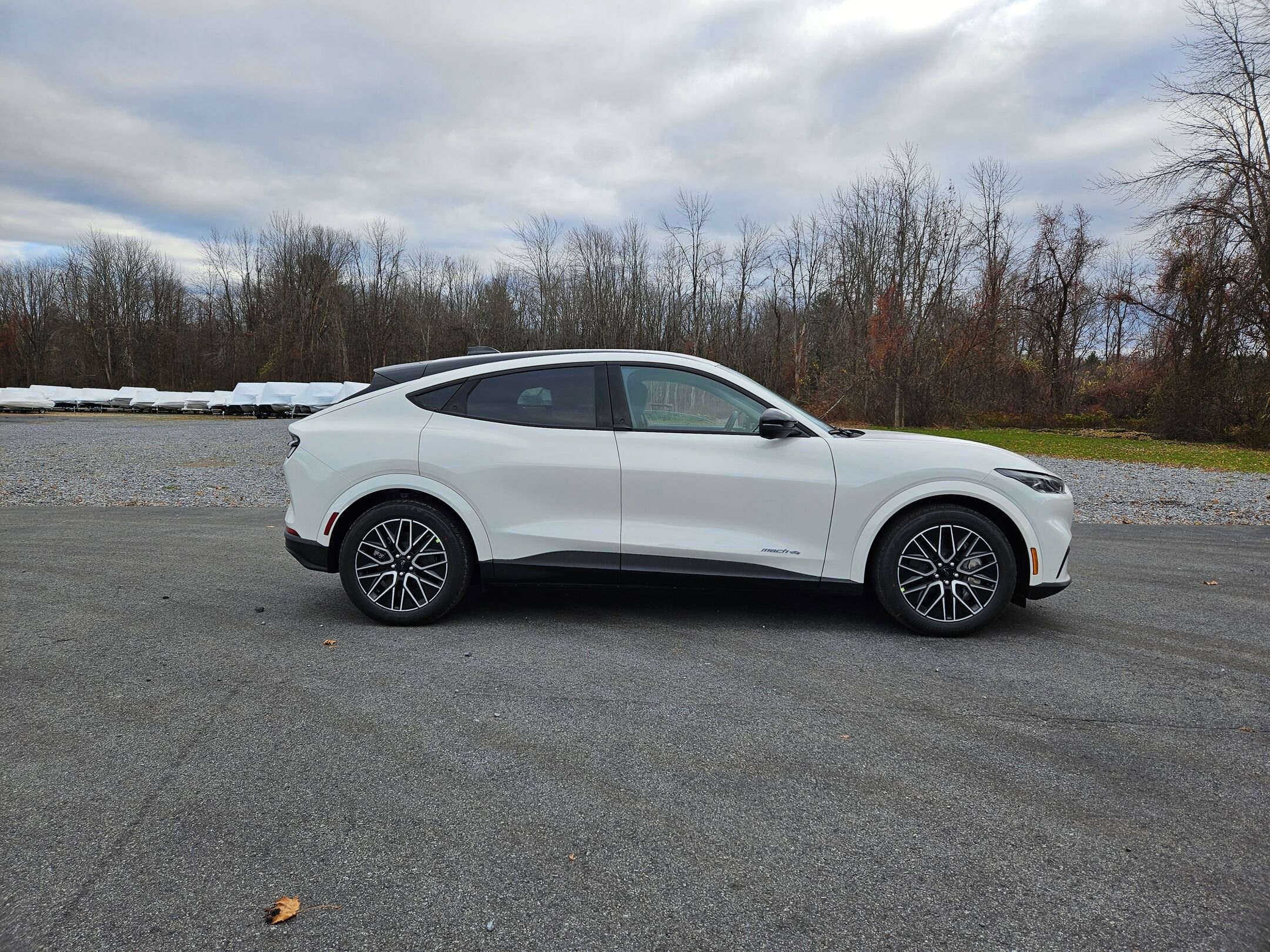 2025 Ford Mustang Mach-E Premium photo 2
