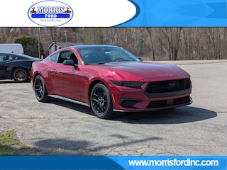 2026 Ford Mustang CAR