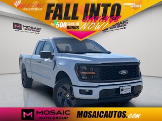 2025 Ford F-150 STX Truck