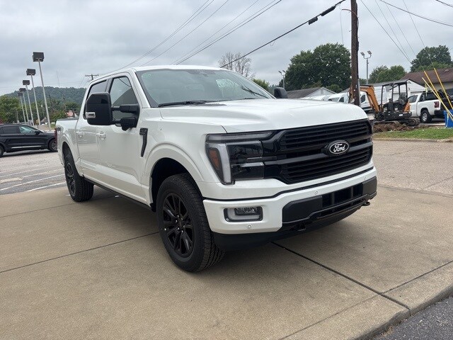 2025 Ford F-150 Platinum photo 4