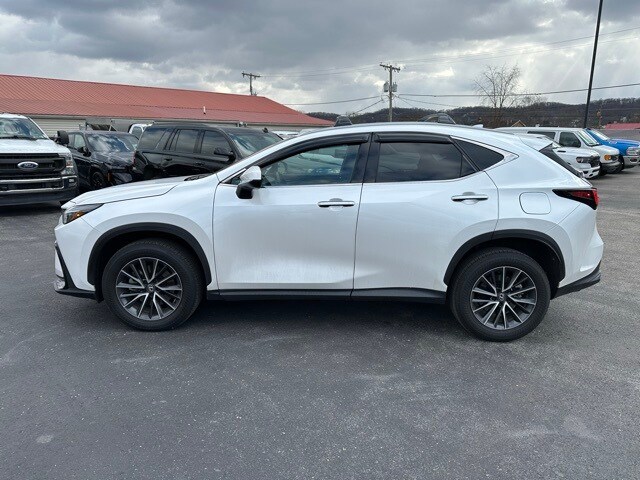 2024 Lexus NX 350 Premium photo 3