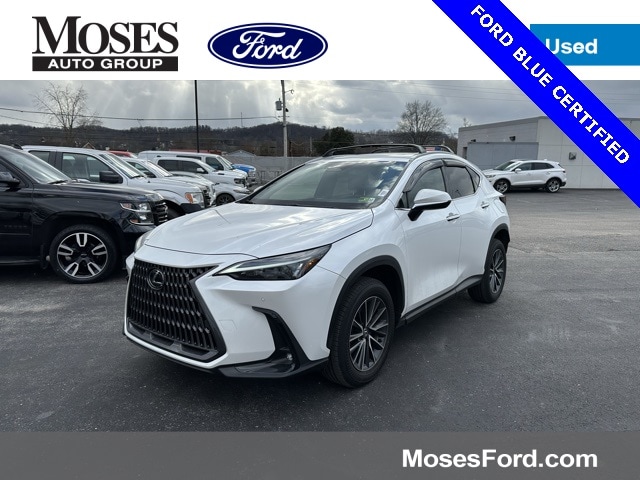 2024 Lexus NX 350's photo