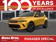 Dodge Hornet