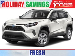 2025 Toyota RAV4 Hybrid LE SUV