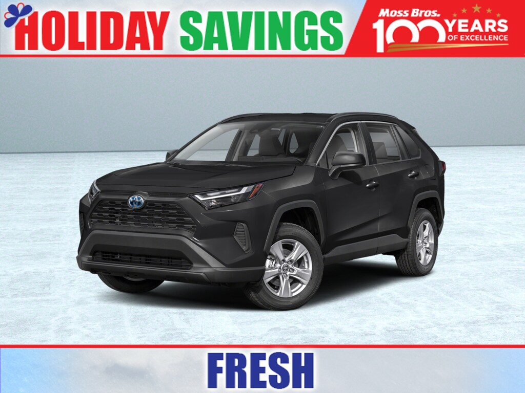 New 2025 Toyota RAV4 Hybrid LE SUV