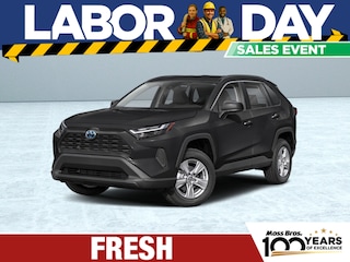 2025 Toyota RAV4 Hybrid LE SUV