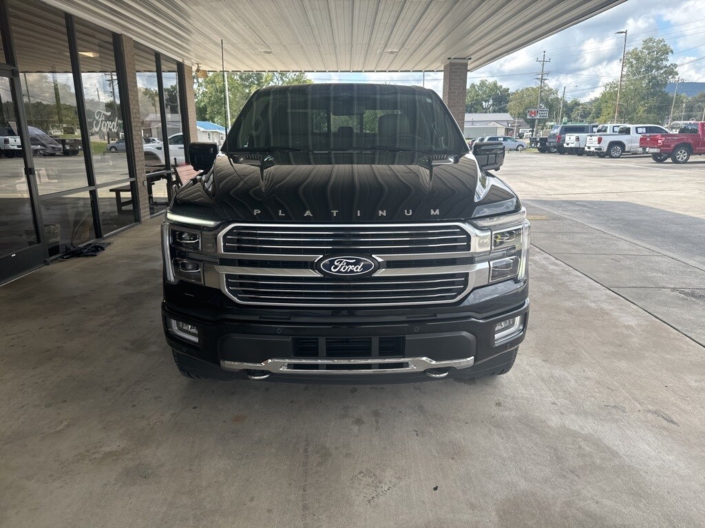 2024 Ford F-150 Platinum photo 2
