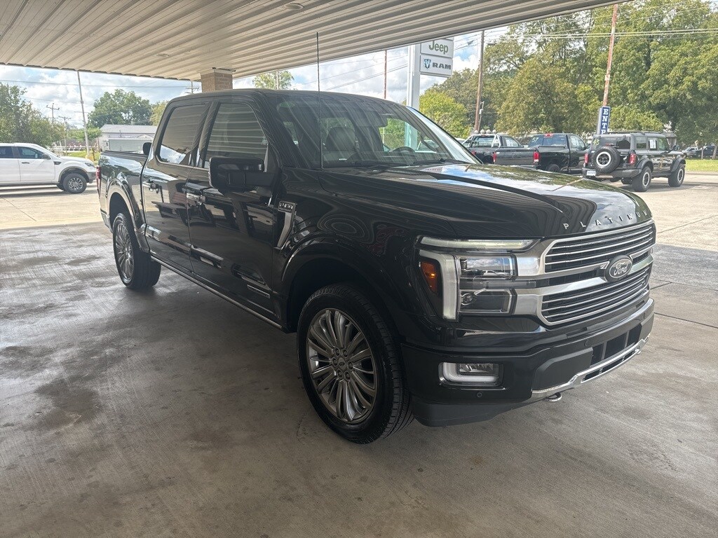 2024 Ford F-150 Platinum photo 3