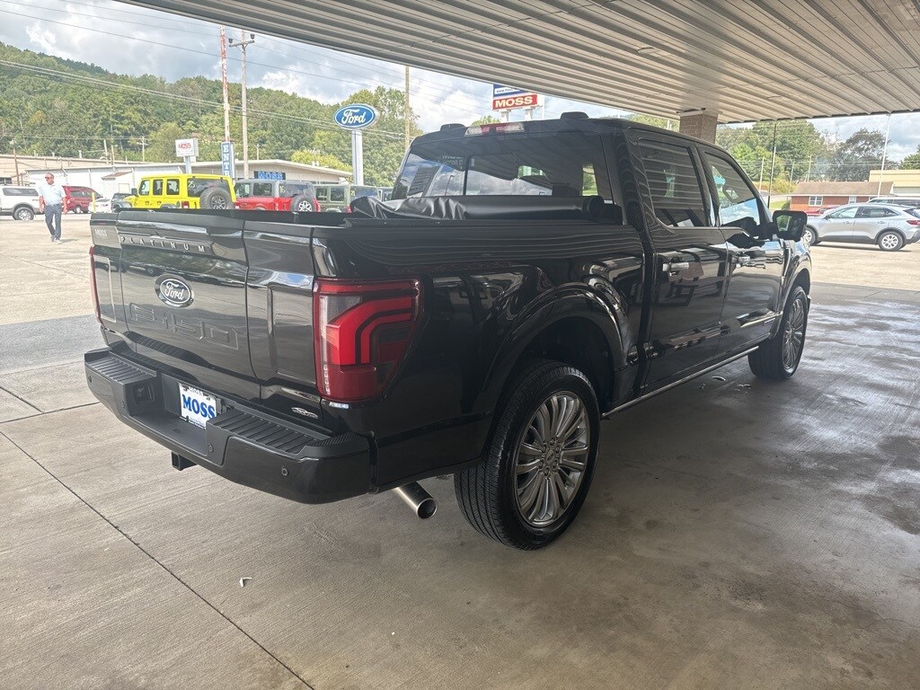 2024 Ford F-150 Platinum photo 4