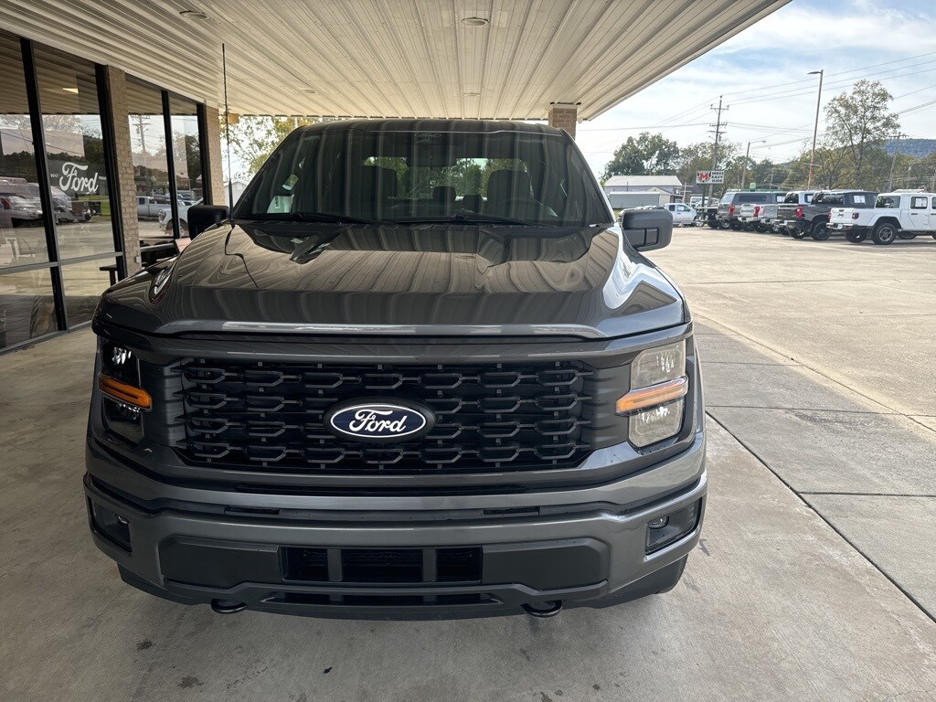 2025 Ford F-150 STX photo 2
