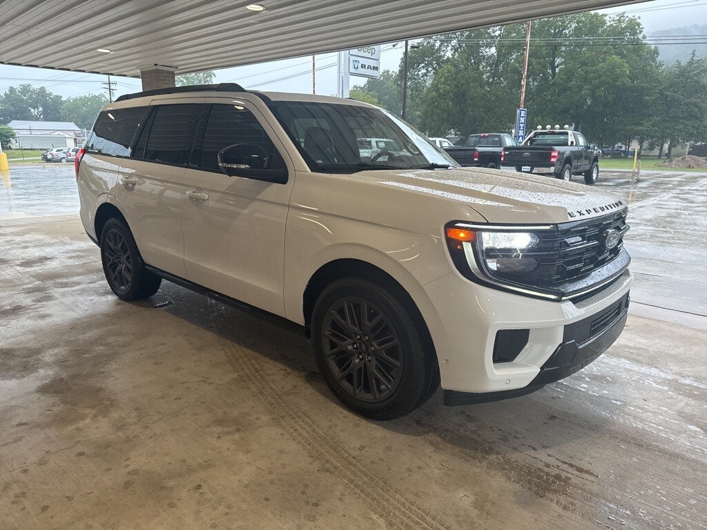 2025 Ford Expedition Platinum photo 3