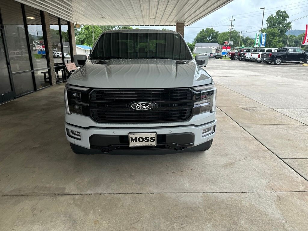 Used 2024 Ford F-150 Platinum Truck
