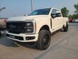 Ford Super Duty F-250 SRW