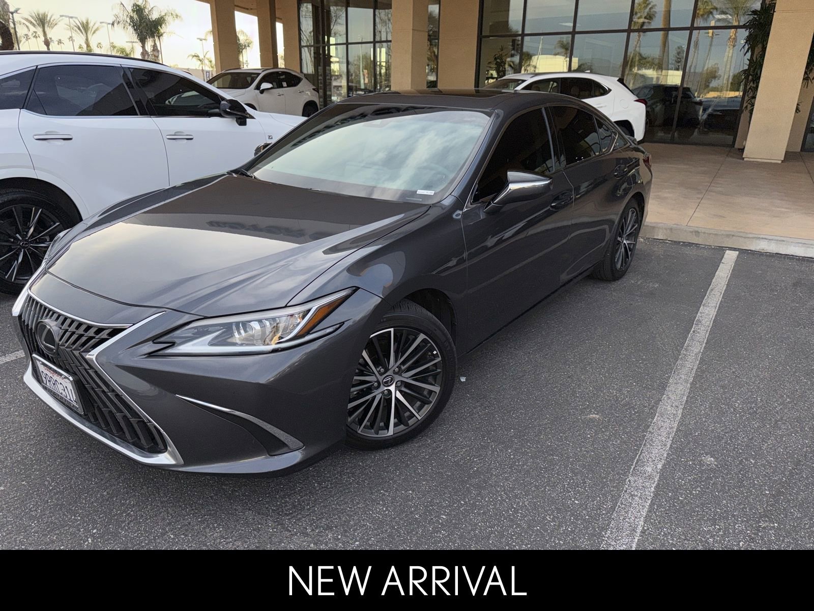 2025 Lexus ES 300h 300h's photo
