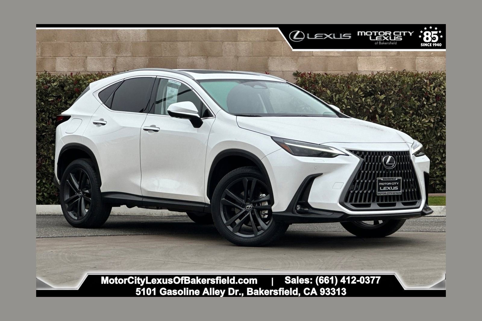 2024 Lexus NX PHEV 450h+'s photo