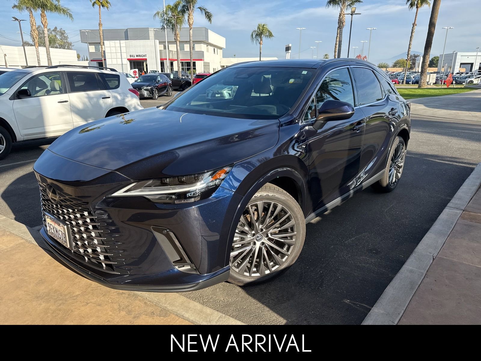 2023 Lexus RX Hybrid 350h's photo