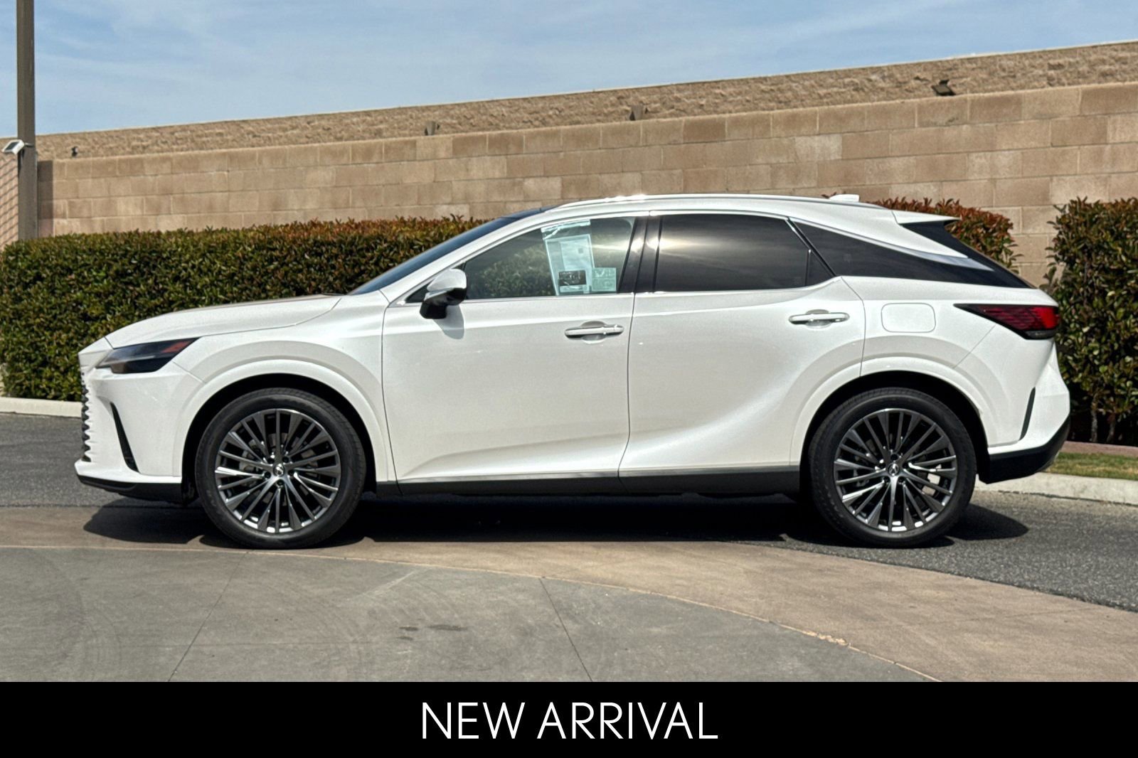 2024 LEXUS RX RX 450h+ Luxury photo 6