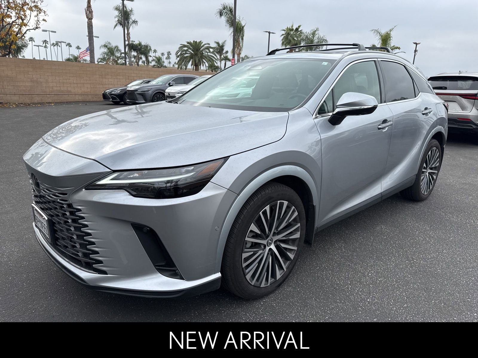 2024 Lexus RX Hybrid 350h's photo