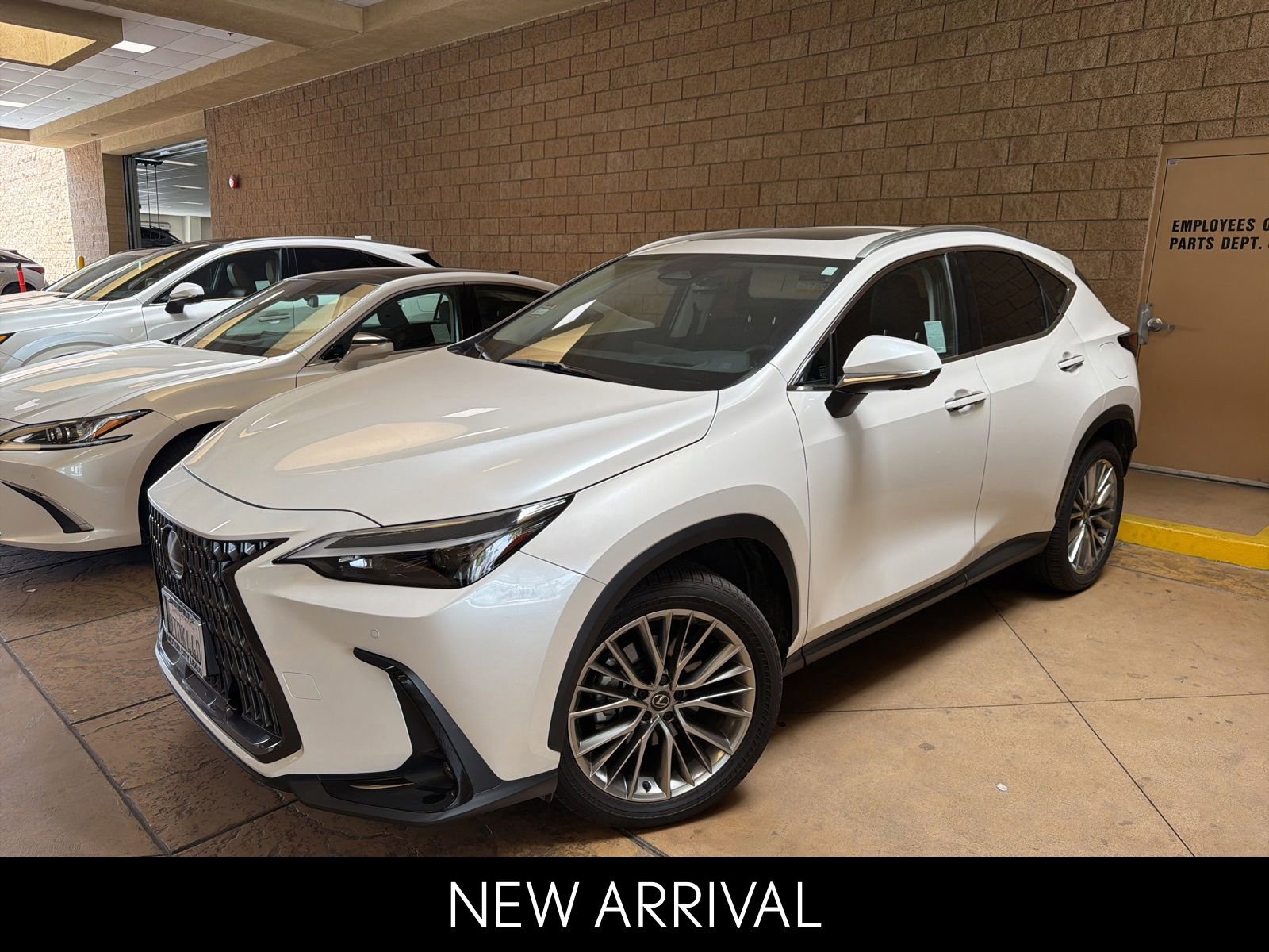2025 Lexus NX 350h 350h Premium AWD's photo